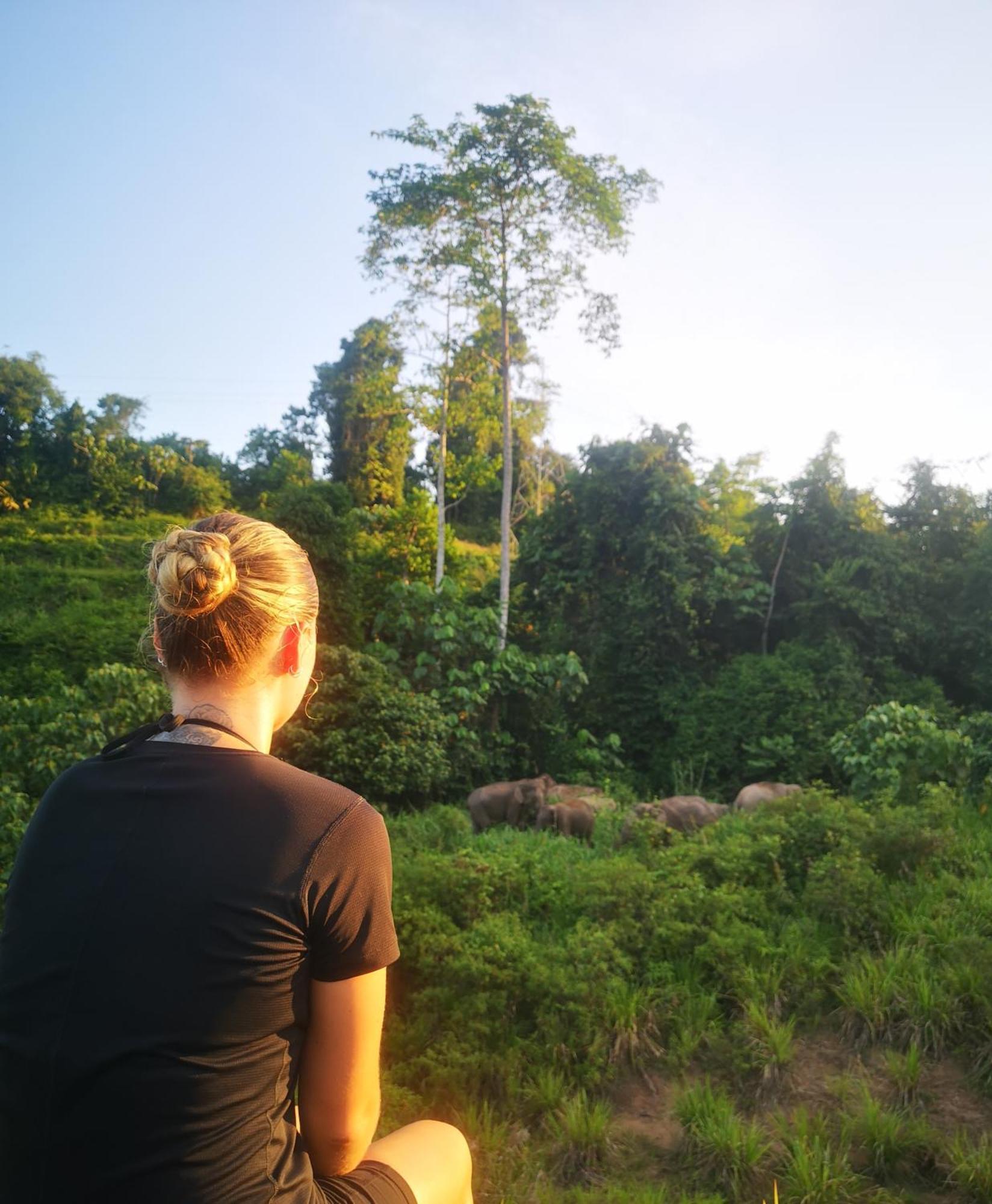 Wild Lodge Taman Negara Kuala Tahan Eksteriør bilde